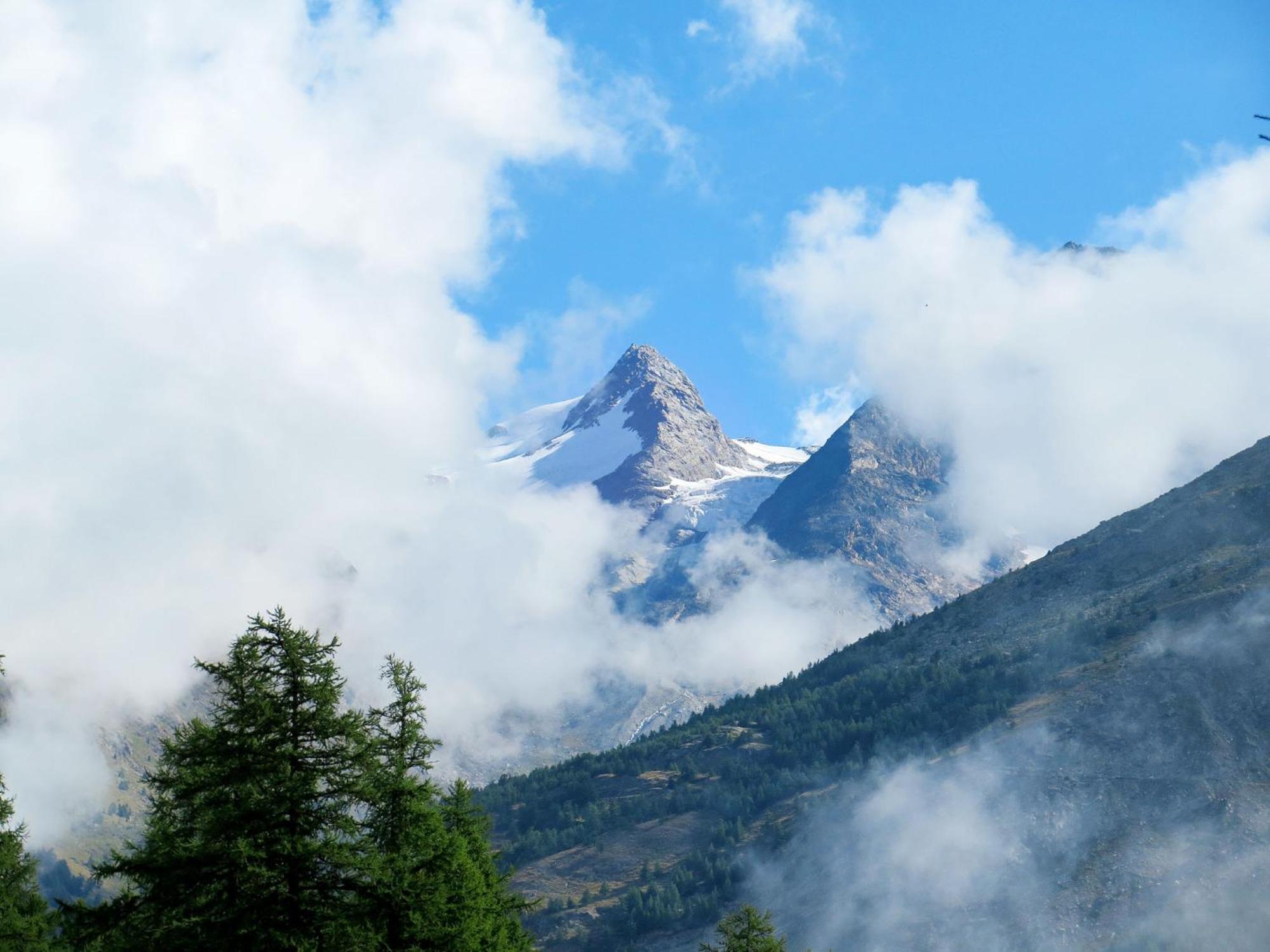 Apartment Floralpina By Interhome Saas Fee Dış mekan fotoğraf